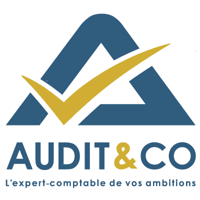 Audit & Co