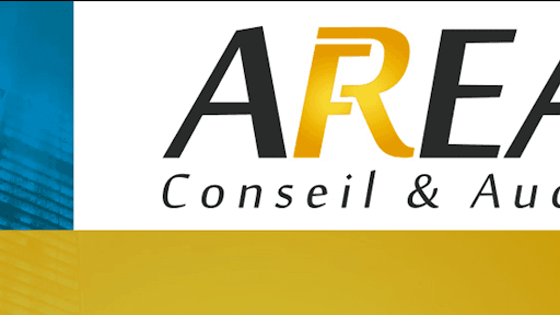 Area Conseil Et Audit