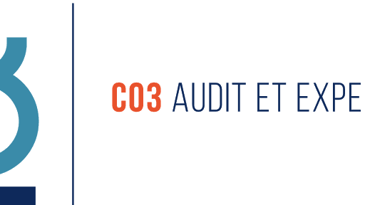 CO3 audit & expertise